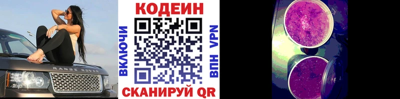 магазин продажи Дно Кодеиновый сироп Lean Purple Drank
