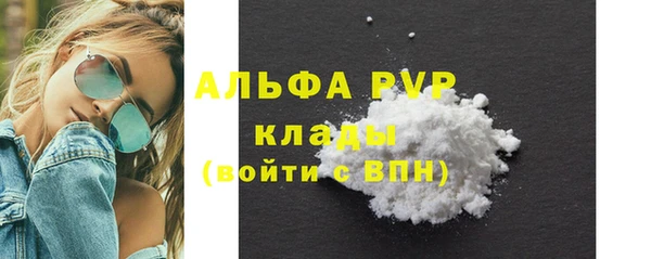 стафф Алзамай