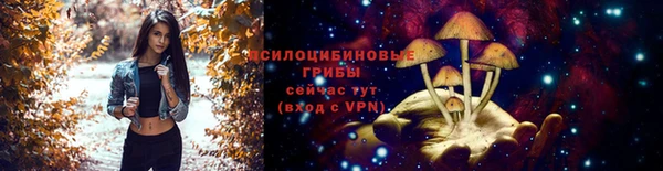 стафф Алзамай