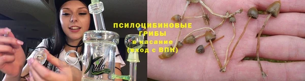 стафф Алзамай