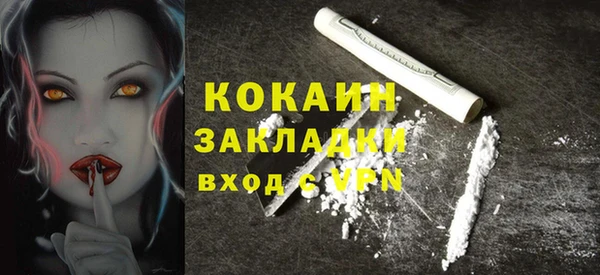 стафф Алзамай