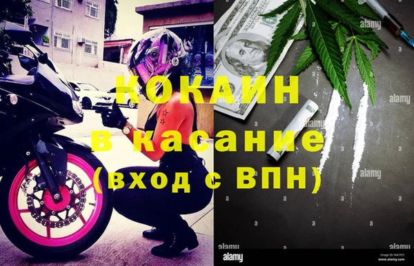 стафф Алзамай