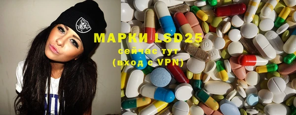 PSILOCYBIN Богданович