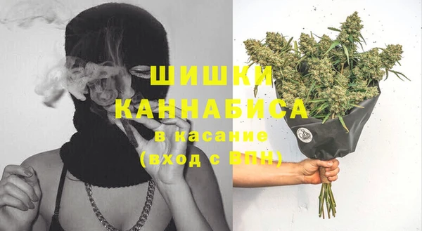 PSILOCYBIN Богородск