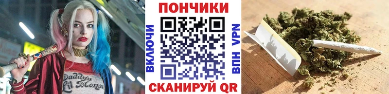 цена   Дно  Каннабис тримм 